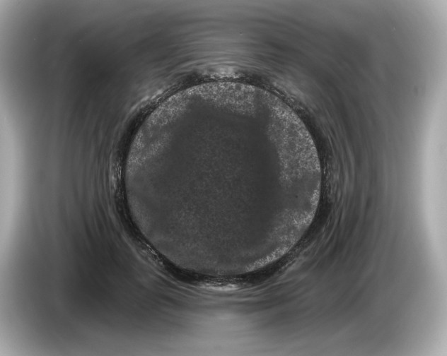 X0000085760747200704091334