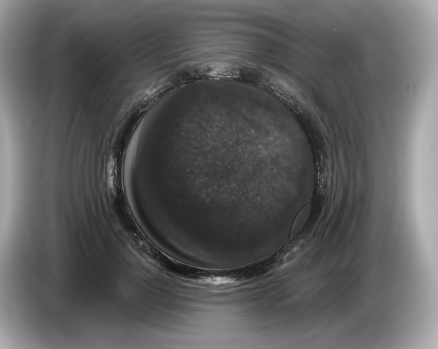 X0000085760748200704091334