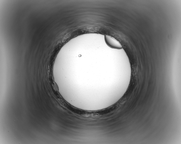 X0000085760752200704091334