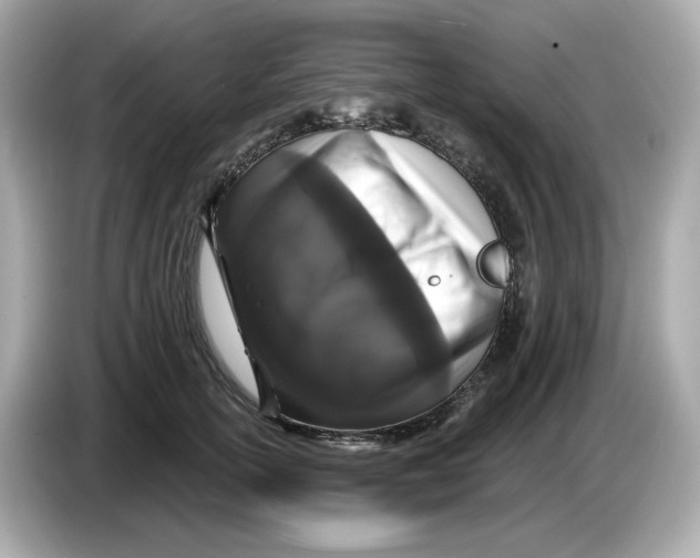 X0000085760754200704091334