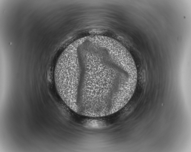 X0000085760755200704091334