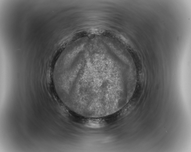 X0000085760757200704091334