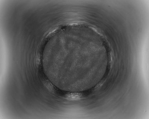 X0000085760758200704091334