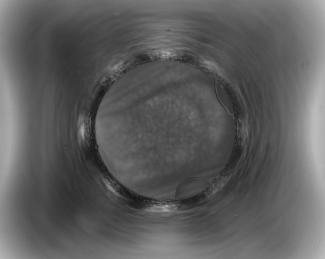X0000085760760200704091334