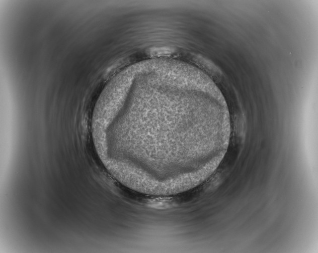 X0000085760761200704091334