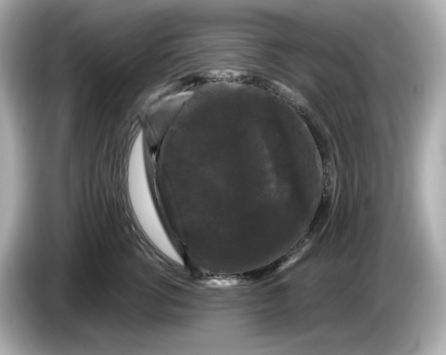 X0000085760762200704091334