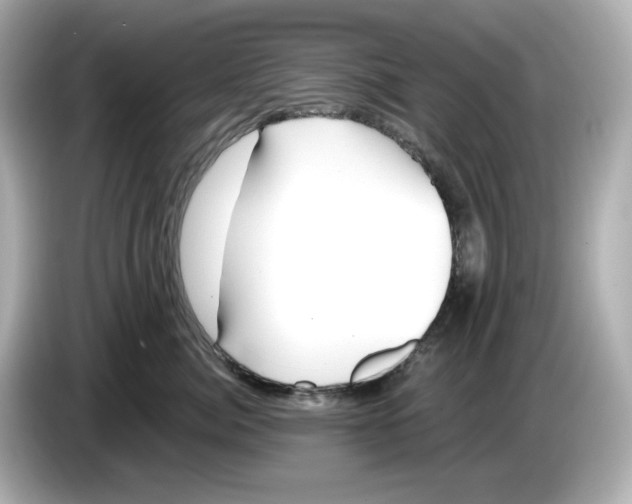 X0000085760764200704091334