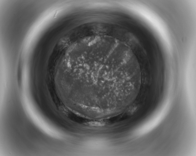 X0000085760765200704091334