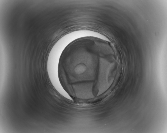 X0000085760766200704091334