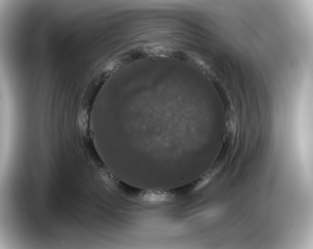 X0000085760767200704091334