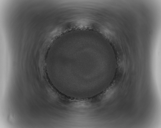 X0000085760769200704091334