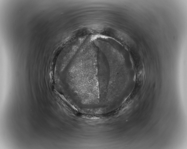 X0000085760772200704091334