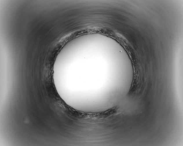 X0000085760773200704091334
