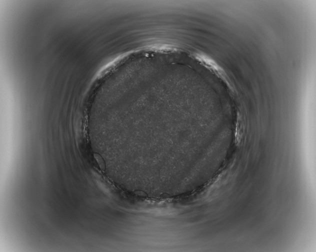 X0000085760775200704091334