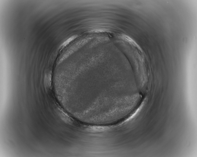 X0000085760777200704091334