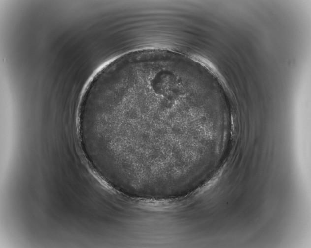 X0000085760780200704091333