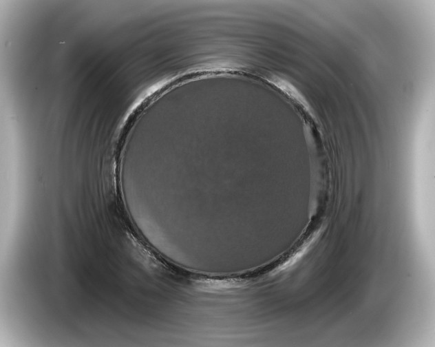 X0000085760781200704091333