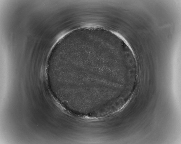 X0000085760783200704091333