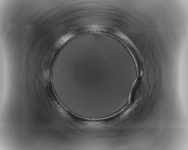 X0000085760785200704091333