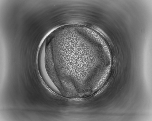 X0000085760788200704091333