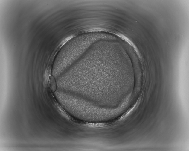 X0000085760793200704091333