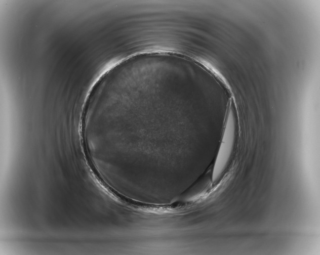 X0000085760797200704091333