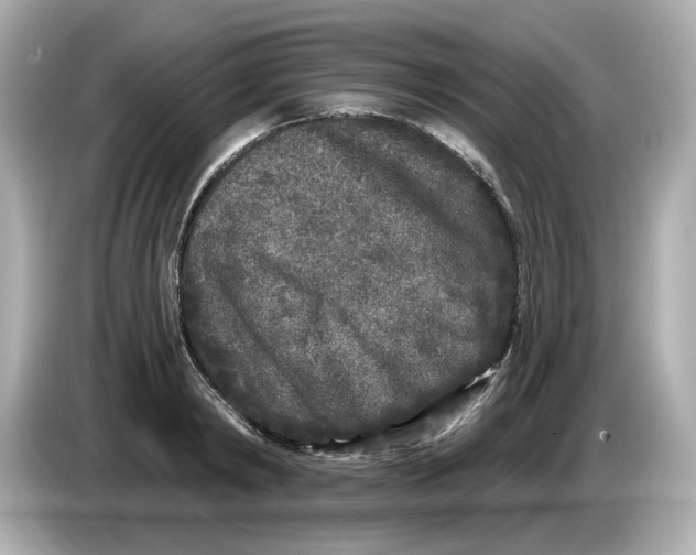 X0000085760798200704091333