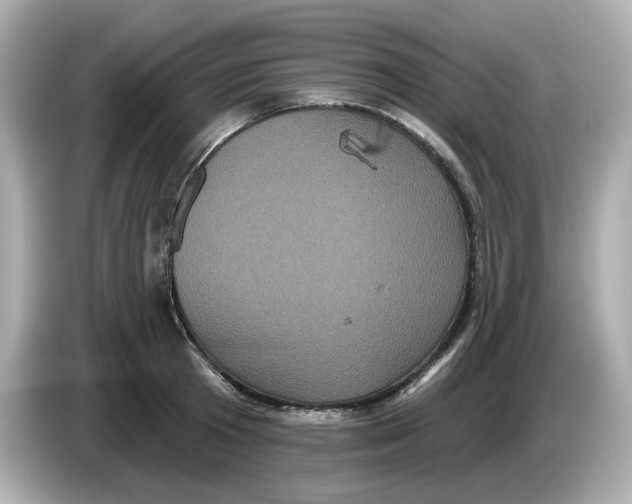 X0000085760801200704091333