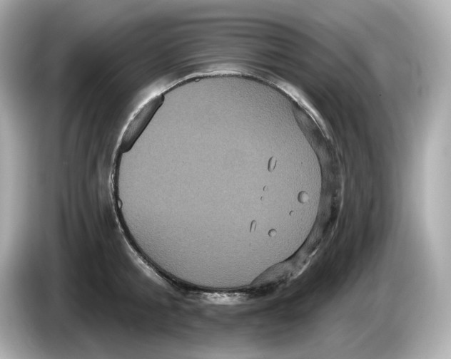 X0000085760805200704091333