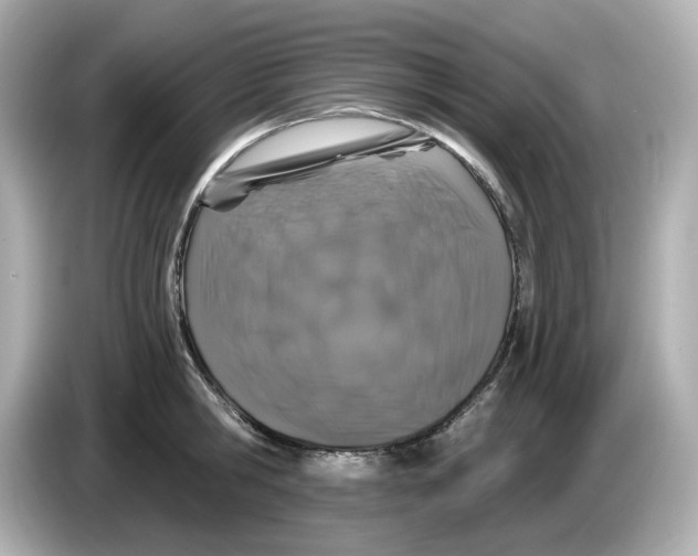 X0000085760806200704091333