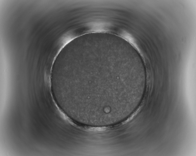 X0000085760810200704091333