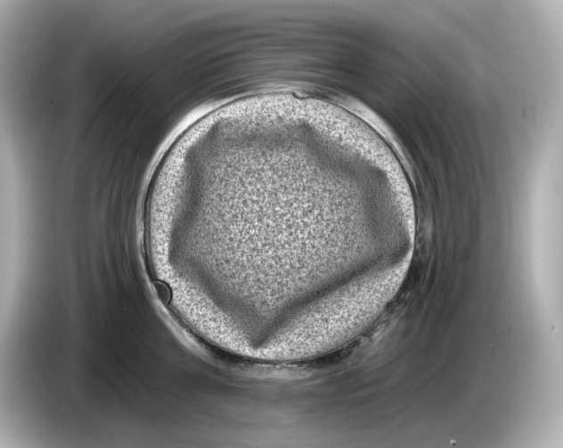 X0000085760811200704091333