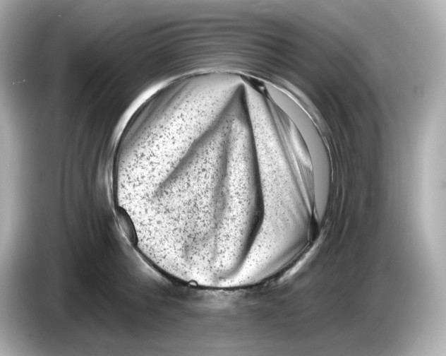 X0000085760812200704091333