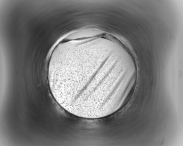 X0000085760816200704091333