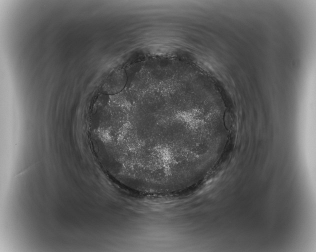 X0000085760817200704091332