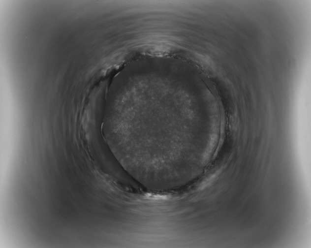 X0000085760818200704091333