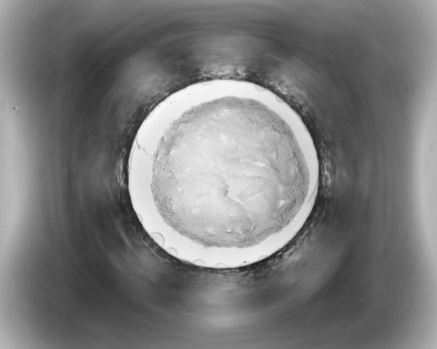 X0000085760820200704091333