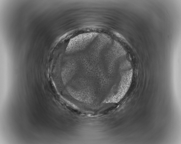 X0000085760822200704091333