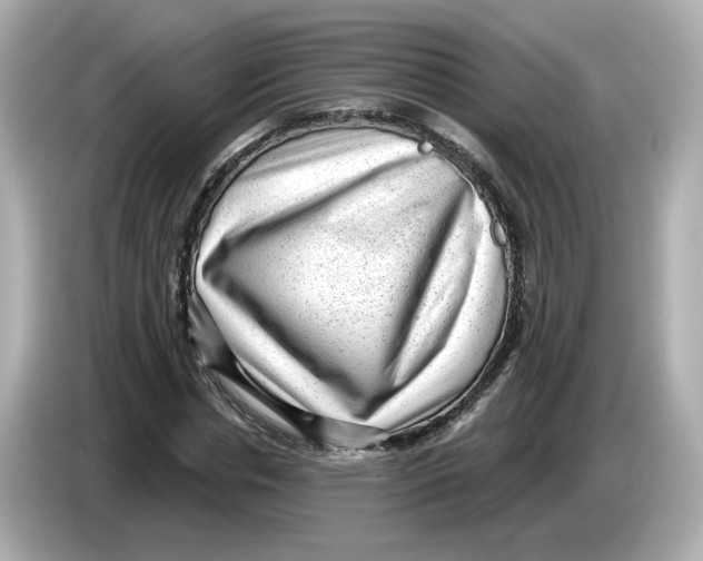 X0000085760826200704091333