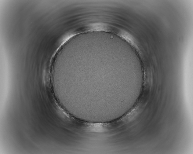X0000085760828200704091333