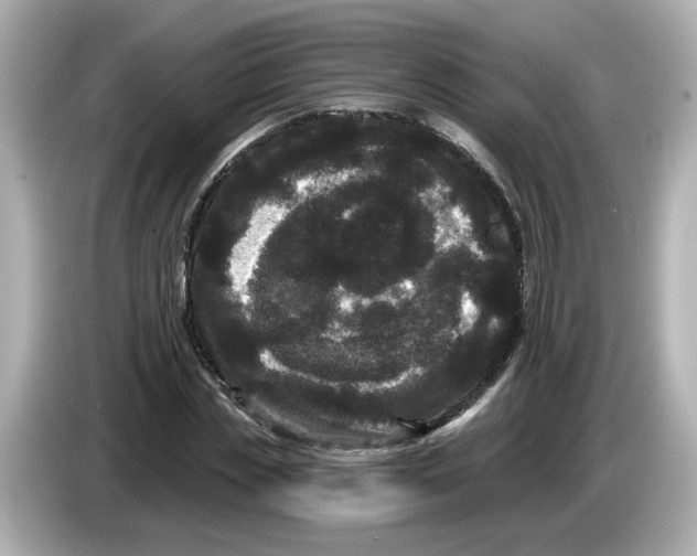 X0000085760829200704091333