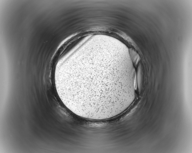 X0000085760830200704091333