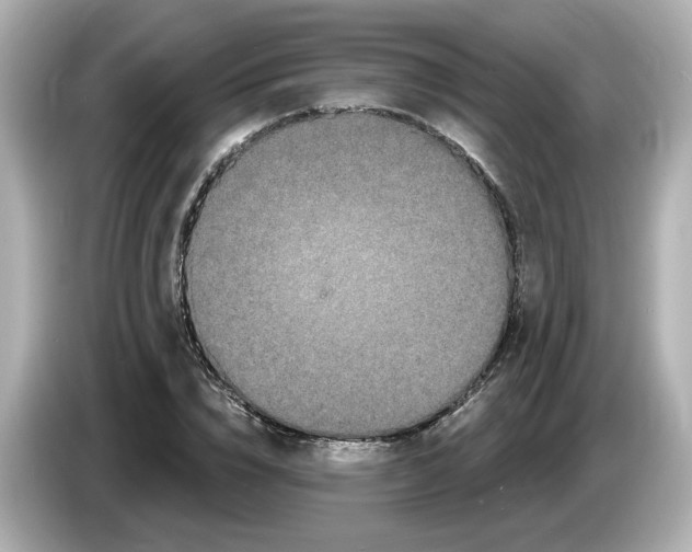 X0000085760832200704091333