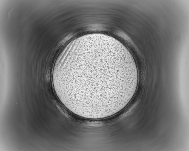 X0000085760833200704091333