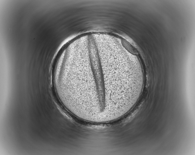 X0000085760838200704091333