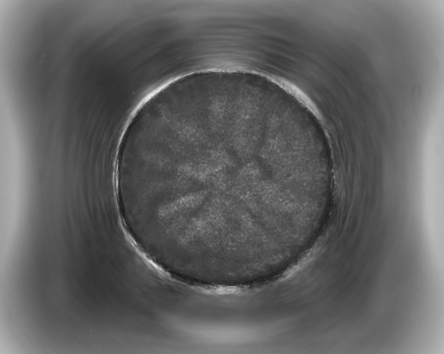 X0000085760839200704091333