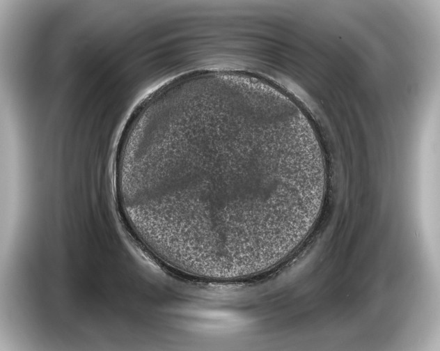X0000085760840200704091333