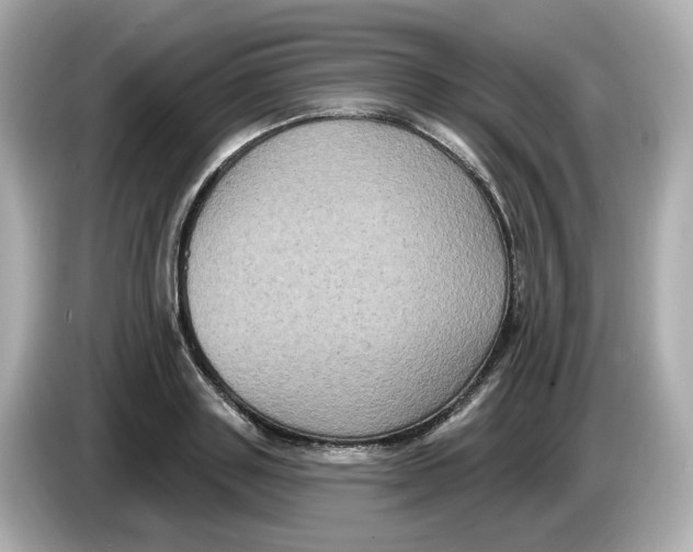 X0000085760843200704091333