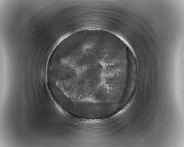 X0000085760845200704091333