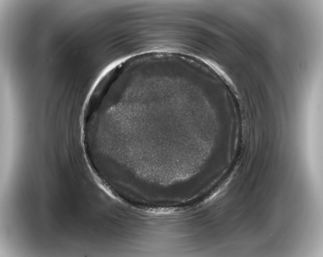 X0000085760846200704091333
